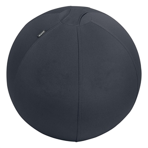 Leitz Ergo Cosy actieve zitbal / donkergrijs / 65 cm / tot 150 kg