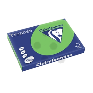 Clairefontaine papier / grasgroen / A3 / 120 gr. / 250 vel