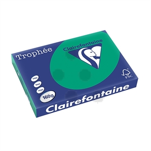 Clairefontaine papier / dennengroen / A3 / 160 gr. / 250 vel