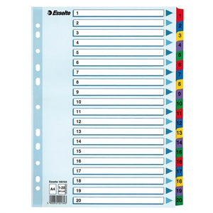 Esselte 100163 A4 index / karton / 1-20 / 11-gaats