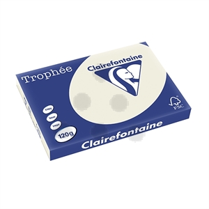 Clairefontaine papier / parelgrijs / A3 / 120 gr. / 250 vel