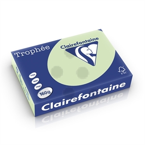 Clairefontaine papier / golfgroen / A4 / 160 gr. / 250 vel