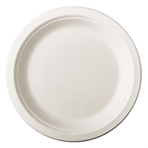 Wegwerpbord suikerriet / wit / 18 cm / 50 stuks