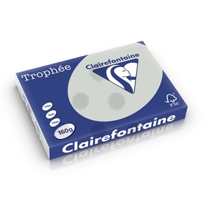 Clairefontaine papier / lichtgrijs / A3 / 160 gr. / 250 vel