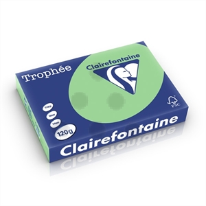 Clairefontaine papier / natuurgroen / A4 / 120 gr. / 250 vel