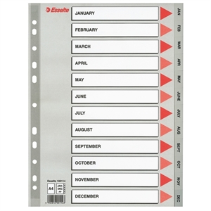 Esselte 100114 A4 index / plastic / jan-dec / 11-gaats