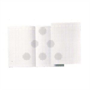 Atlanta accountantspapier / folio / 100 vel