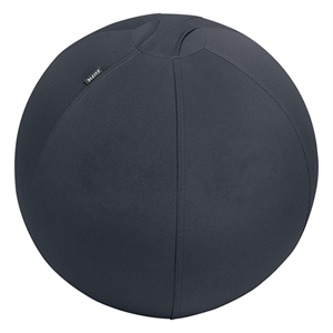 Leitz Ergo Cosy actieve zitbal / donkergrijs / 75 cm / tot 150 kg