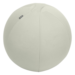 Leitz Ergo Cosy actieve zitbal / lichtgrijs / 75 cm / tot 150 kg