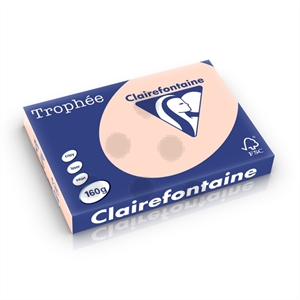 Clairefontaine papier / zalm / A3 / 160 gr. / 250 vel