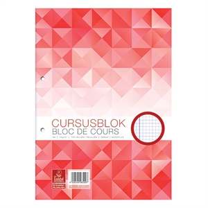WORK 100058101 cursusblok / A4 / geruit / 100 vel